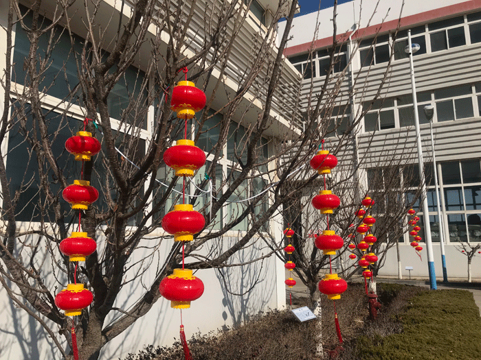 烟台众博体育（中国）官方网站化工恭祝大家2021牛年行大运
